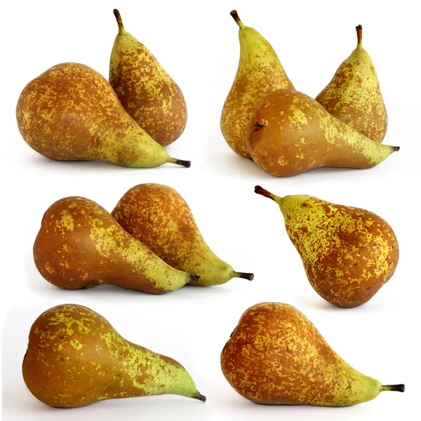 Many of pears for design — Stock Photo, Image