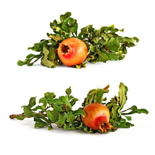 Zwei Bild von Granatapfel — Stockfoto