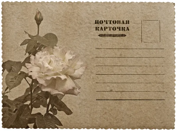 Ευχετήρια κάρτα με τριαντάφυλλο. Ρωσική γλώσσα — Φωτογραφία Αρχείου