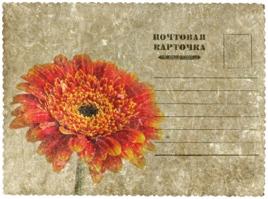 gerbera ile Tebrik Kartpostalı