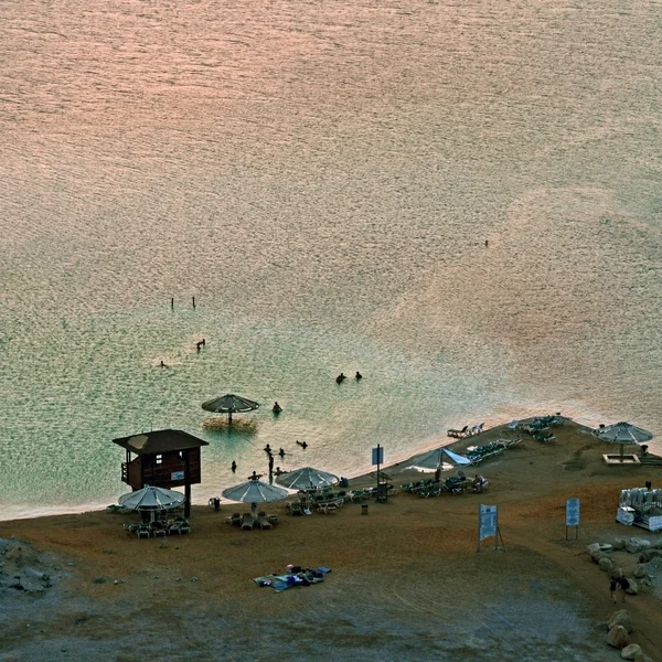 Riva del Mar Morto.Mattina dell'alba — Foto Stock