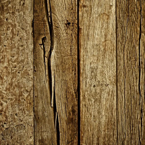 Väggen av det gamla trädet — Stockfoto