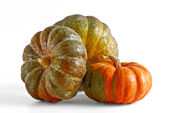 Three pumpkins on white background — Stock Photo, Image