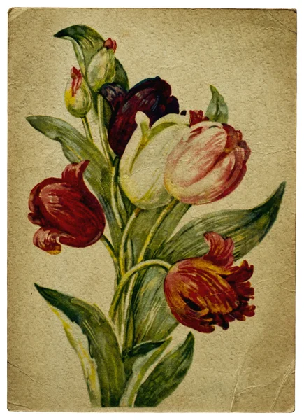 Flor velha cartão Imagem De Stock
