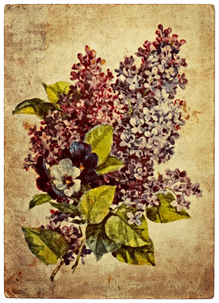 Old card flower.lilac