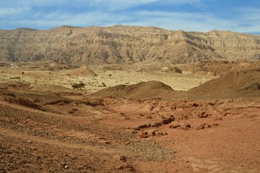 timna ulusal jeolojik park, İsrail.