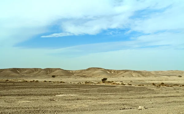 Landschap van Israël. Negev. — Stockfoto