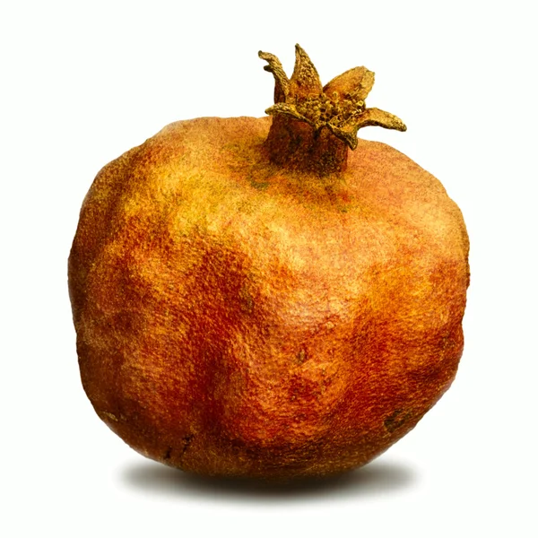 One pomegranate red — Stock Photo, Image