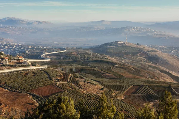 Early Morning Northern Region Israel — Stock Photo, Image