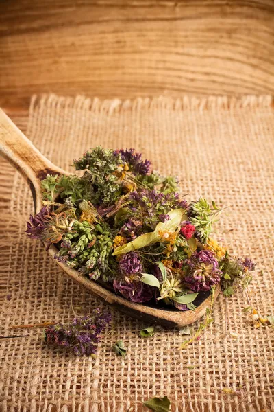 Herbal tea. — Stock Photo, Image