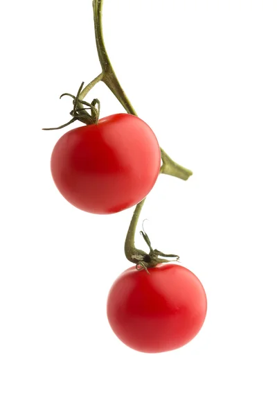 Cherry. — Stock Photo, Image