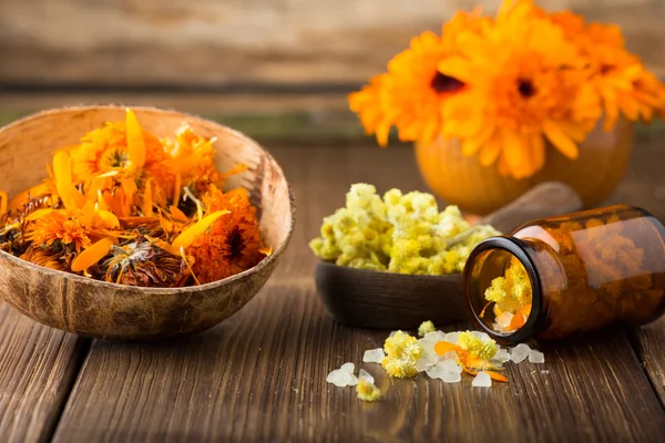 Homeopátiás Calendula. — Stock Fotó