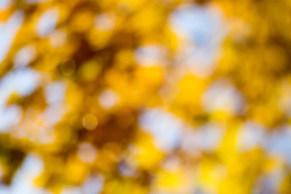 Bokeh d'automne . — Photo