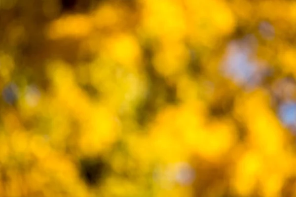 Bokeh autunnale . — Foto Stock