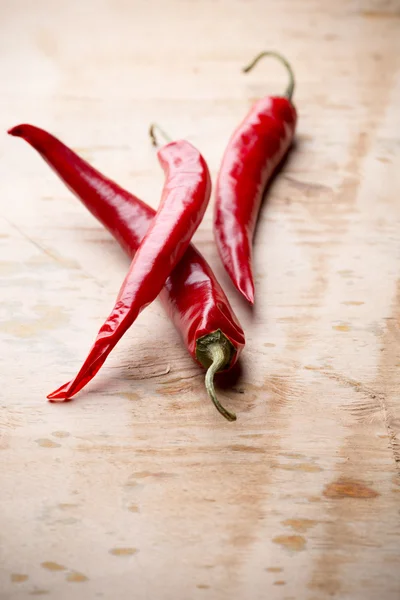 Chilipepper . – stockfoto