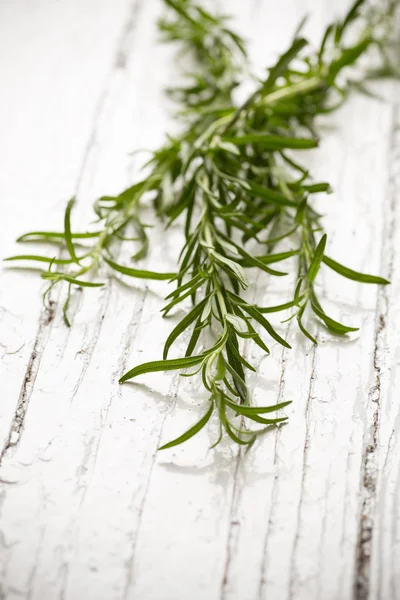 Rosemary. — Stock Photo, Image