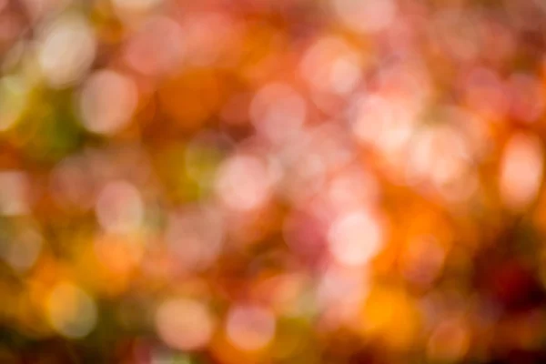 Herbstbokeh. — Stockfoto