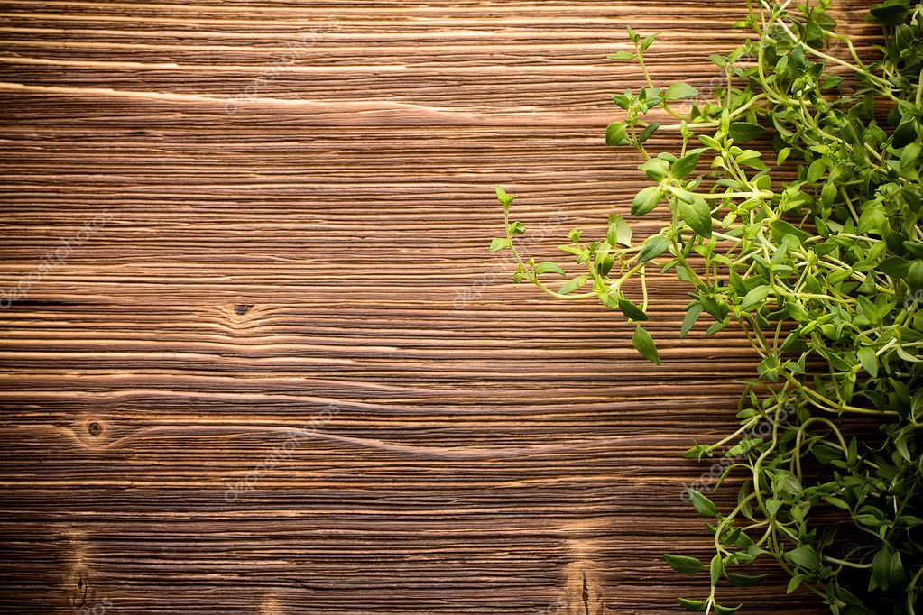 Thyme. — Stock Photo © gitusik #35186189