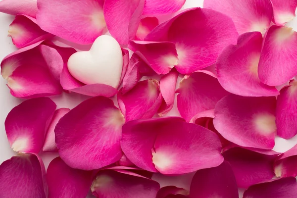 Petali di rosa. — Foto Stock