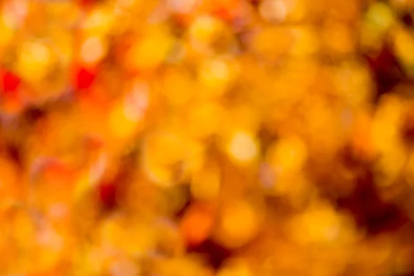 Bokeh de otoño . —  Fotos de Stock