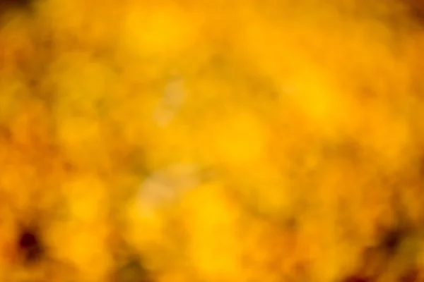 Autumn bokeh. — Stock Photo, Image