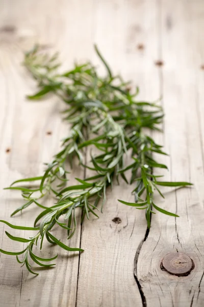 Rosemary. — Stock Photo, Image