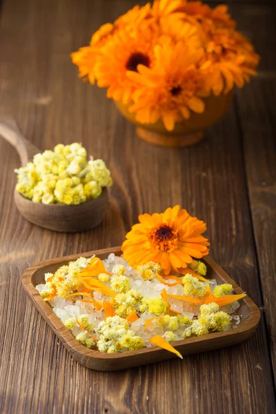 Calendula homeopatiska. — Stockfoto