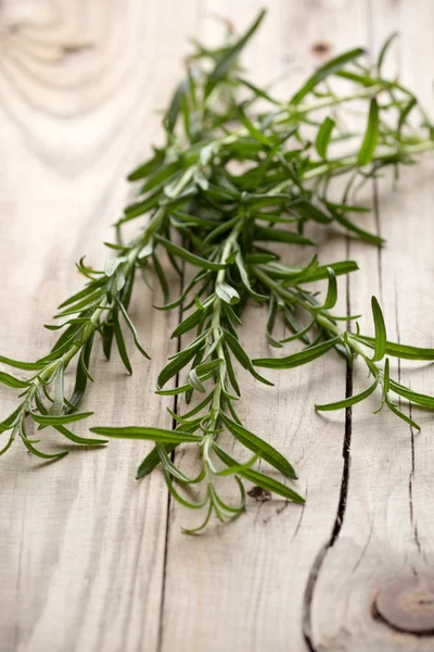 Rosemary. — Stock Photo, Image