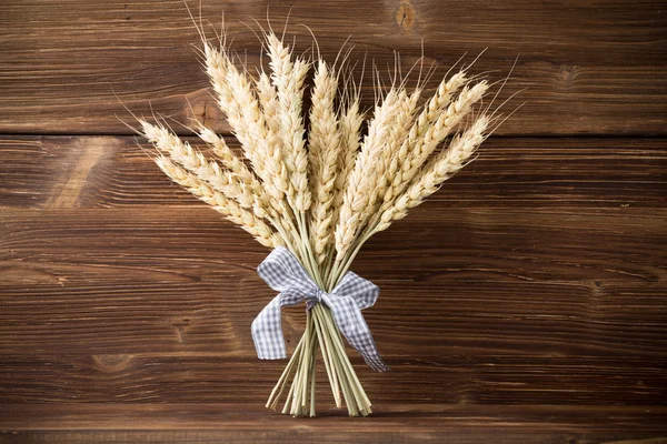 Wheat. — Stock Photo, Image