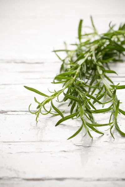 Rosemary. — Stock Photo, Image