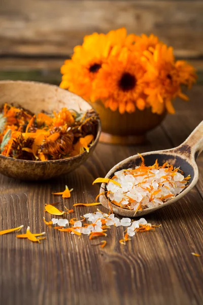 Homeopátiás Calendula. — Stock Fotó