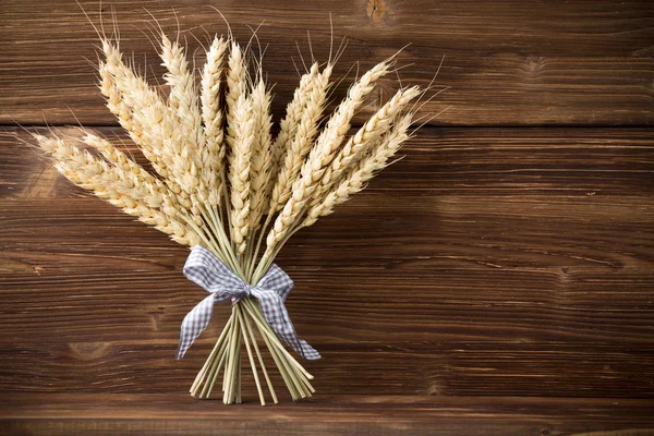 Wheat. — Stock Photo, Image