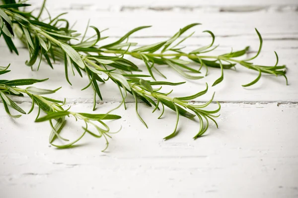 Rosemary. — Stock Photo, Image