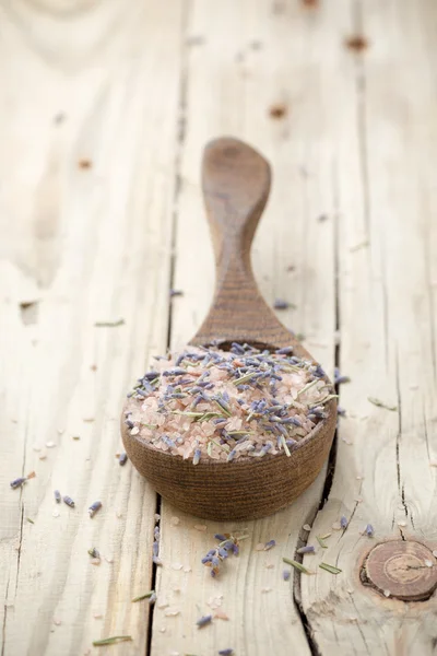 Lavanda. — Foto Stock