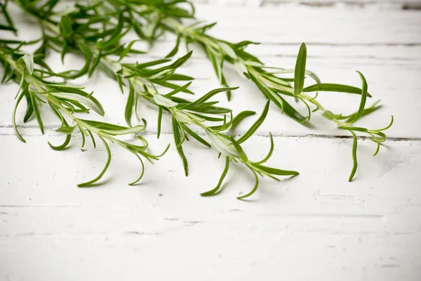 Rosemary. — Stock Photo, Image