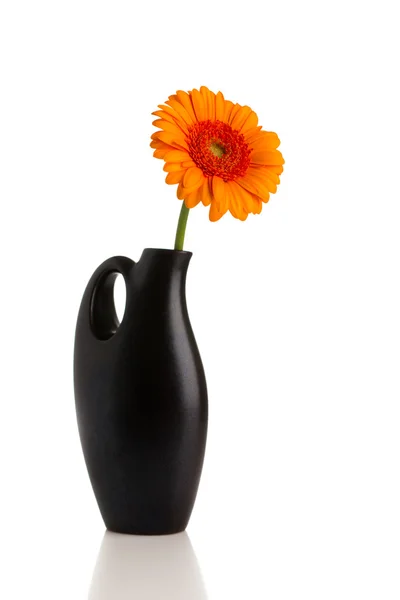 Bloemen. — Stockfoto