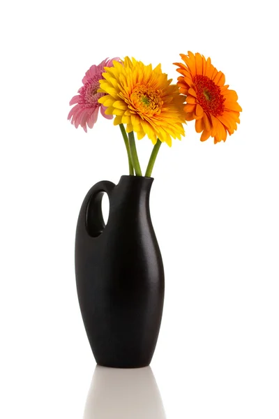 Bloemen. — Stockfoto