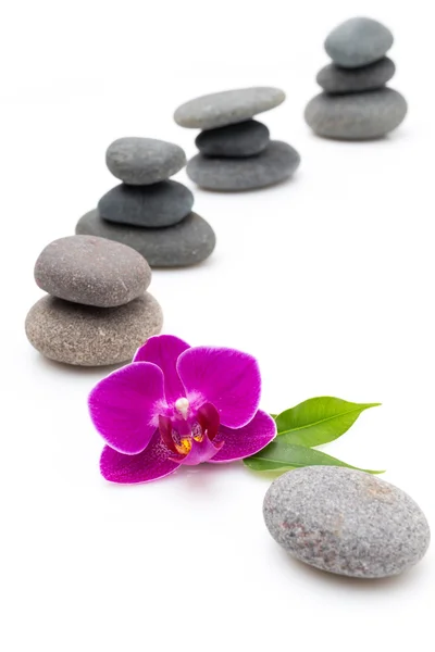 Wellness stones. — Stockfoto