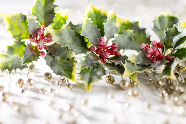 Weihnachtsdekoration. — Stockfoto