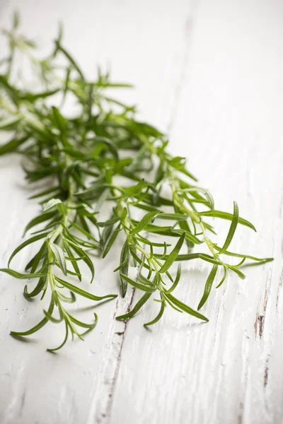 Rosemary. — Stock Photo, Image