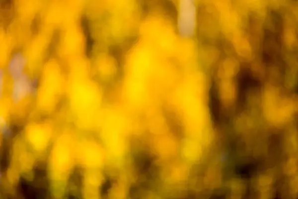 Bokeh autunnale . — Foto Stock