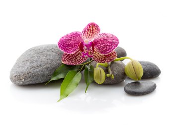 Spa taşlar