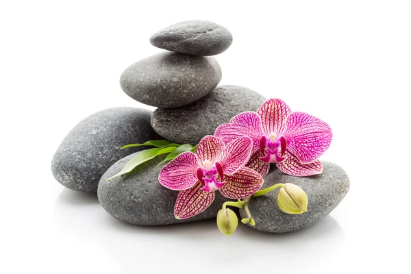 Wellness stones — Stockfoto