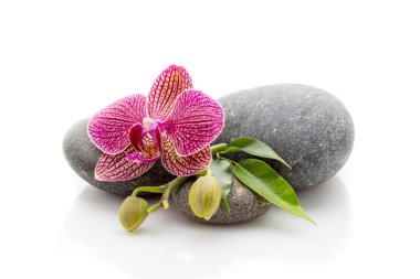 Spa taşlar