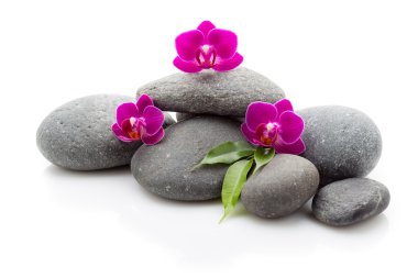 Spa taşlar