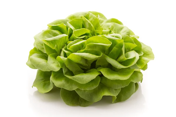 Salată verde . — Fotografie, imagine de stoc