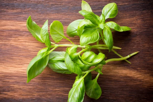 Basil. — Stock Photo, Image