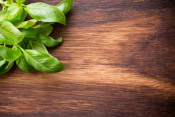 Basil. — Stock Photo, Image