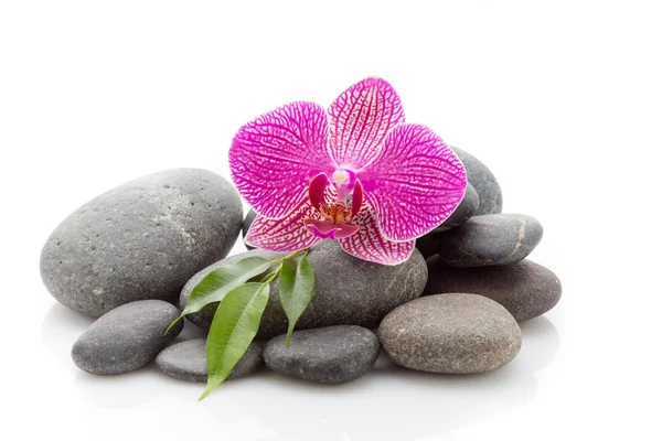 Spa stones — Stock Photo, Image