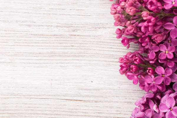 Lilac. — Stock Photo, Image